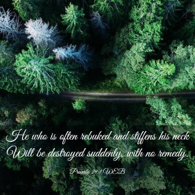 Picture 03 - Proverbs 29:1 WEB - He who is often rebuked and stiffens his neck - Bible Verse Picture