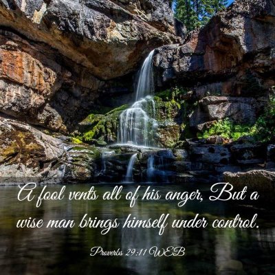 Picture 03 - Proverbs 29:11 WEB - A fool vents all of his anger, But a wise man - Bible Verse Picture