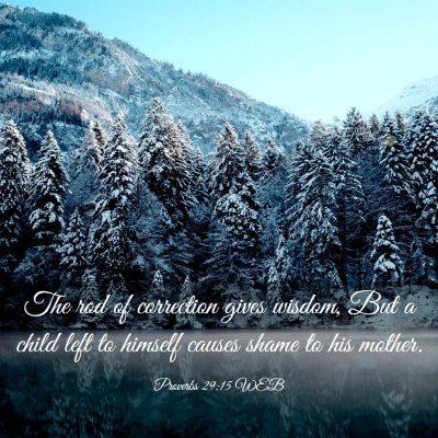 Picture 03 - Proverbs 29:15 WEB - The rod of correction gives wisdom, But a child - Bible Verse Picture