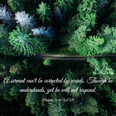 Picture 03 - Proverbs 29:19 WEB - A servant can't be corrected by words. Though he - Bible Verse Picture