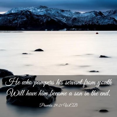 Picture 03 - Proverbs 29:21 WEB - He who pampers his servant from youth Will have - Bible Verse Picture