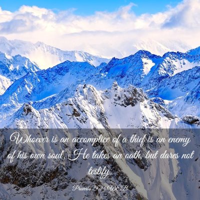 Picture 03 - Proverbs 29:24 WEB - Whoever is an accomplice of a thief is an enemy - Bible Verse Picture
