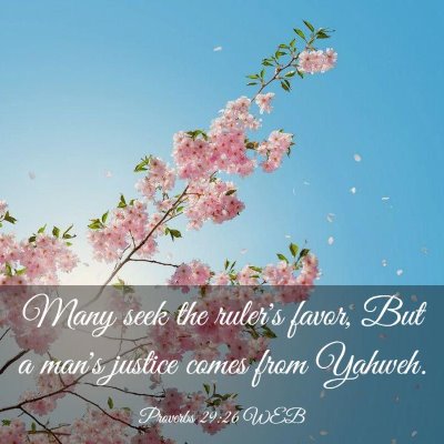 Picture 03 - Proverbs 29:26 WEB - Many seek the ruler's favor, But a man's justice - Bible Verse Picture