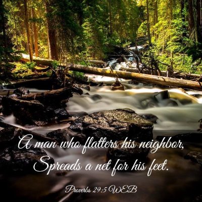 Picture 03 - Proverbs 29:5 WEB - A man who flatters his neighbor, Spreads a net - Bible Verse Picture