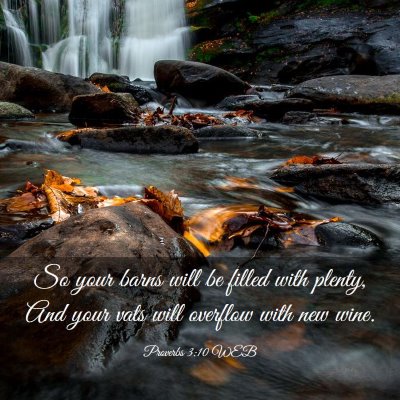 Picture 03 - Proverbs 3:10 WEB - So your barns will be filled with plenty, And - Bible Verse Picture
