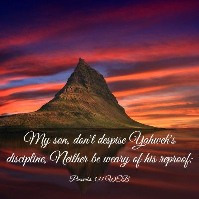 Picture 03 - Proverbs 3:11 WEB - My son, don't despise Yahweh's discipline, - Bible Verse Picture