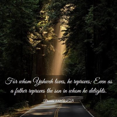 Picture 03 - Proverbs 3:12 WEB - For whom Yahweh loves, he reproves; Even as a - Bible Verse Picture