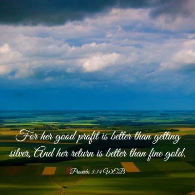 Picture 03 - Proverbs 3:14 WEB - For her good profit is better than getting - Bible Verse Picture