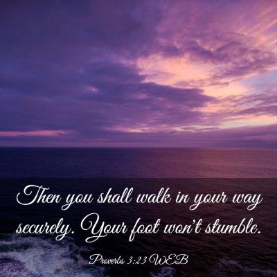 Picture 03 - Proverbs 3:23 WEB - Then you shall walk in your way securely. Your - Bible Verse Picture