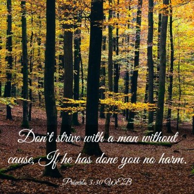 Picture 03 - Proverbs 3:30 WEB - Don't strive with a man without cause, If he has - Bible Verse Picture