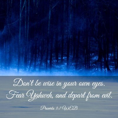 Picture 03 - Proverbs 3:7 WEB - Don't be wise in your own eyes. Fear Yahweh, and - Bible Verse Picture
