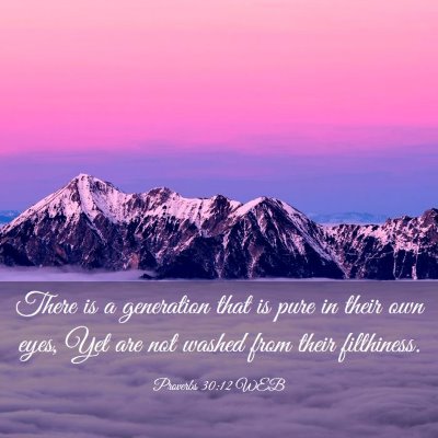 Picture 03 - Proverbs 30:12 WEB - There is a generation that is pure in their own - Bible Verse Picture