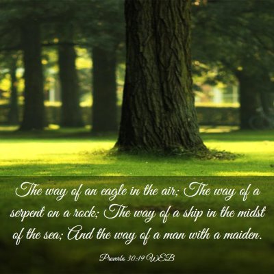Picture 03 - Proverbs 30:19 WEB - The way of an eagle in the air; The way of a - Bible Verse Picture