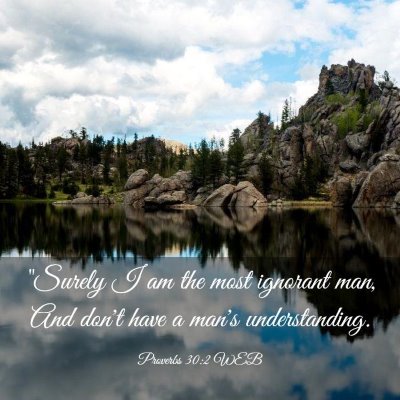 Picture 03 - Proverbs 30:2 WEB - 