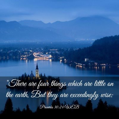 Picture 03 - Proverbs 30:24 WEB - 