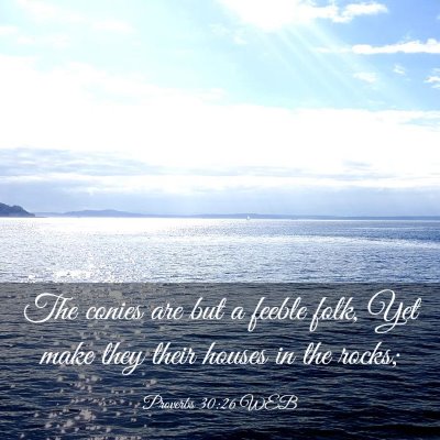 Picture 03 - Proverbs 30:26 WEB - The conies are but a feeble folk, Yet make they - Bible Verse Picture