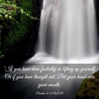 Picture 03 - Proverbs 30:32 WEB - 