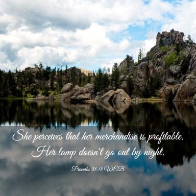Picture 03 - Proverbs 31:18 WEB - She perceives that her merchandise is profitable. - Bible Verse Picture