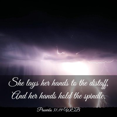 Picture 03 - Proverbs 31:19 WEB - She lays her hands to the distaff, And her hands - Bible Verse Picture
