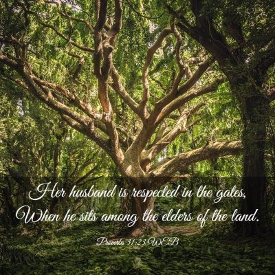 Picture 03 - Proverbs 31:23 WEB - Her husband is respected in the gates, When he - Bible Verse Picture