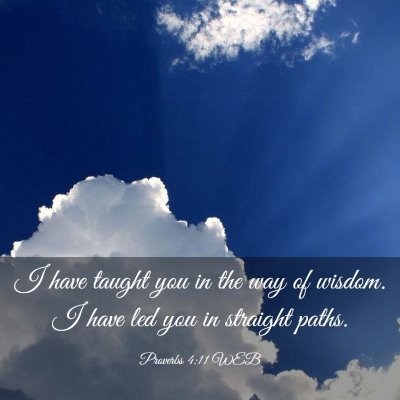 Picture 03 - Proverbs 4:11 WEB - I have taught you in the way of wisdom. I have - Bible Verse Picture