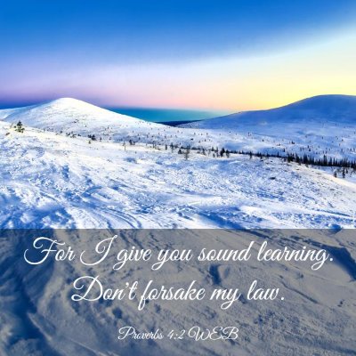 Picture 03 - Proverbs 4:2 WEB - For I give you sound learning. Don't forsake my - Bible Verse Picture