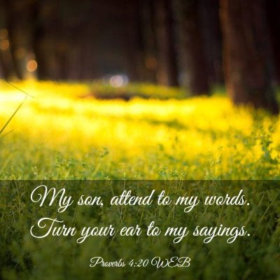 Picture 03 - Proverbs 4:20 WEB - My son, attend to my words. Turn your ear to my - Bible Verse Picture