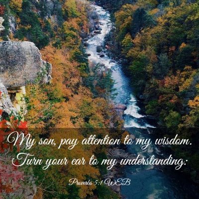 Picture 03 - Proverbs 5:1 WEB - My son, pay attention to my wisdom. Turn your ear - Bible Verse Picture