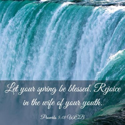 Picture 03 - Proverbs 5:18 WEB - Let your spring be blessed. Rejoice in the wife - Bible Verse Picture