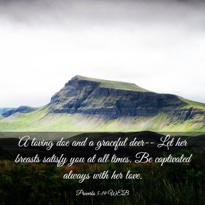 Picture 03 - Proverbs 5:19 WEB - A loving doe and a graceful deer-- Let her - Bible Verse Picture
