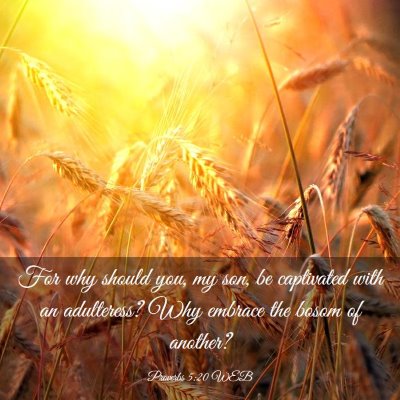 Picture 03 - Proverbs 5:20 WEB - For why should you, my son, be captivated with an - Bible Verse Picture
