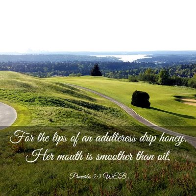 Picture 03 - Proverbs 5:3 WEB - For the lips of an adulteress drip honey. Her - Bible Verse Picture
