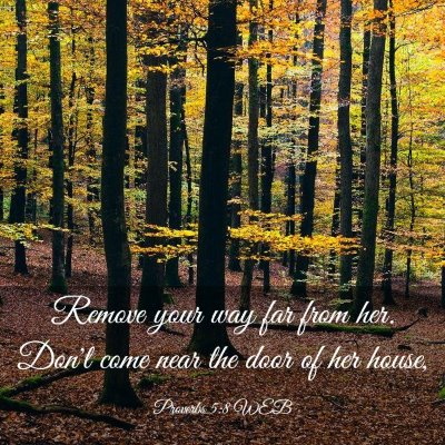 Picture 03 - Proverbs 5:8 WEB - Remove your way far from her. Don't come near the - Bible Verse Picture