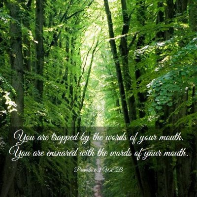 Picture 03 - Proverbs 6:2 WEB - You are trapped by the words of your mouth. You - Bible Verse Picture
