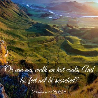 Picture 03 - Proverbs 6:28 WEB - Or can one walk on hot coals, And his feet not be - Bible Verse Picture
