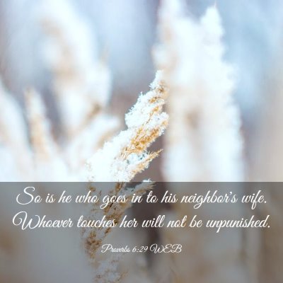 Picture 03 - Proverbs 6:29 WEB - So is he who goes in to his neighbor's wife. - Bible Verse Picture