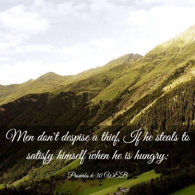 Picture 03 - Proverbs 6:30 WEB - Men don't despise a thief, If he steals to - Bible Verse Picture