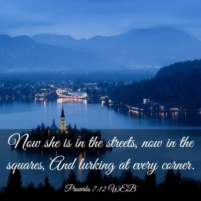 Picture 03 - Proverbs 7:12 WEB - Now she is in the streets, now in the squares, - Bible Verse Picture