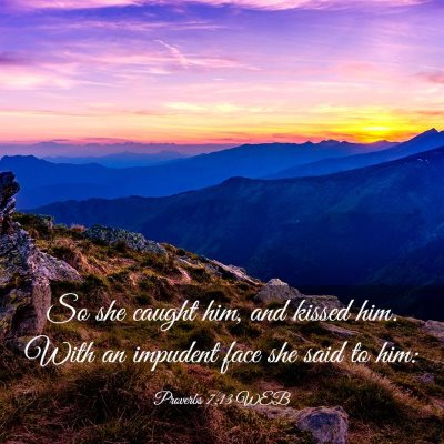 Picture 03 - Proverbs 7:13 WEB - So she caught him, and kissed him. With an - Bible Verse Picture
