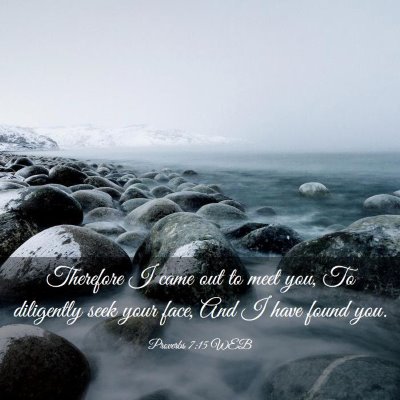 Picture 03 - Proverbs 7:15 WEB - Therefore I came out to meet you, To diligently - Bible Verse Picture
