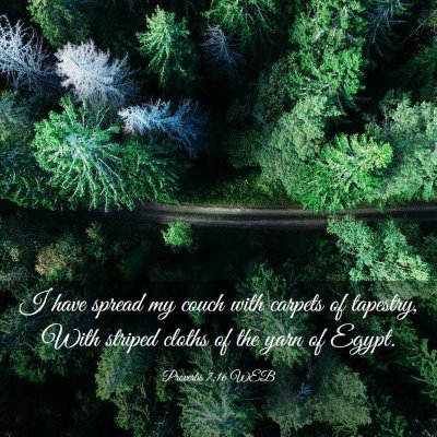 Picture 03 - Proverbs 7:16 WEB - I have spread my couch with carpets of tapestry, - Bible Verse Picture