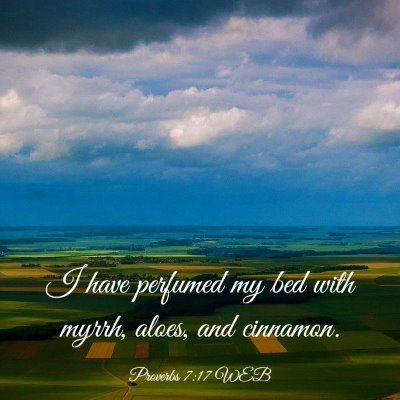Picture 03 - Proverbs 7:17 WEB - I have perfumed my bed with myrrh, aloes, and - Bible Verse Picture
