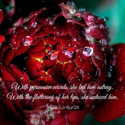 Picture 03 - Proverbs 7:21 WEB - With persuasive words, she led him astray. With - Bible Verse Picture