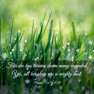 Picture 03 - Proverbs 7:26 WEB - For she has thrown down many wounded. Yes, all - Bible Verse Picture