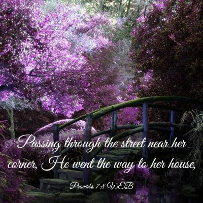 Picture 03 - Proverbs 7:8 WEB - Passing through the street near her corner, He - Bible Verse Picture