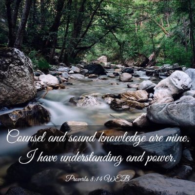 Picture 03 - Proverbs 8:14 WEB - Counsel and sound knowledge are mine. I have - Bible Verse Picture