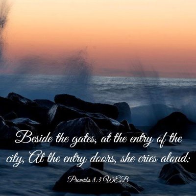 Picture 03 - Proverbs 8:3 WEB - Beside the gates, at the entry of the city, At - Bible Verse Picture