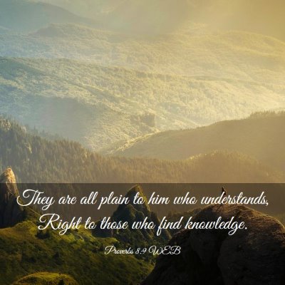 Picture 03 - Proverbs 8:9 WEB - They are all plain to him who understands, Right - Bible Verse Picture