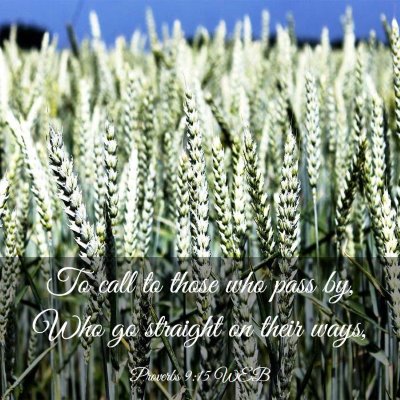 Picture 03 - Proverbs 9:15 WEB - To call to those who pass by, Who go straight on - Bible Verse Picture