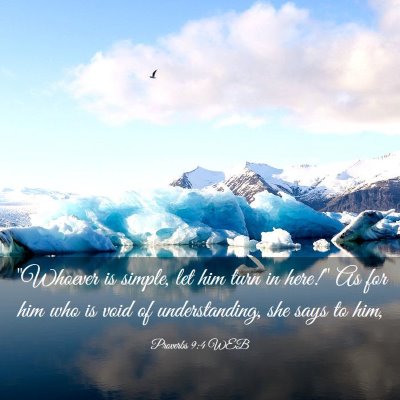 Picture 03 - Proverbs 9:4 WEB - 